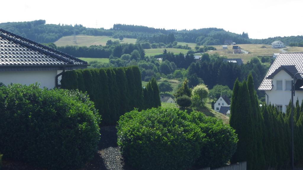 Haus Sonja Lägenhet Adenau Exteriör bild